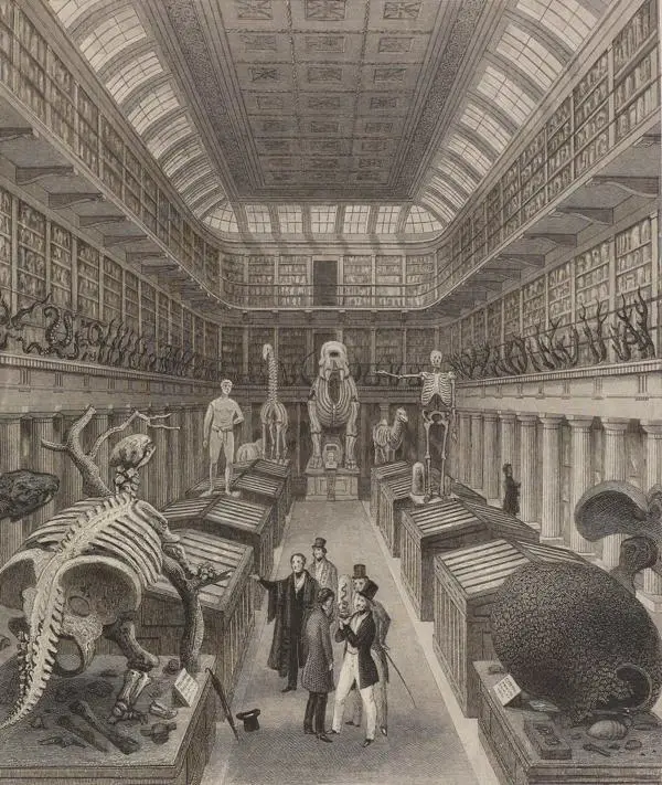Interior of the Hunterian Museum, Royal College of Surgeons, Lincoln’s Inn Fields, c.1820.