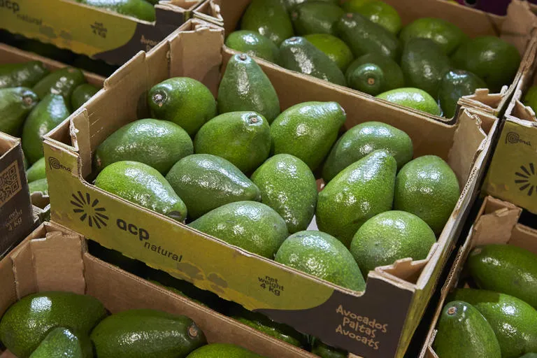 Crate of avacados