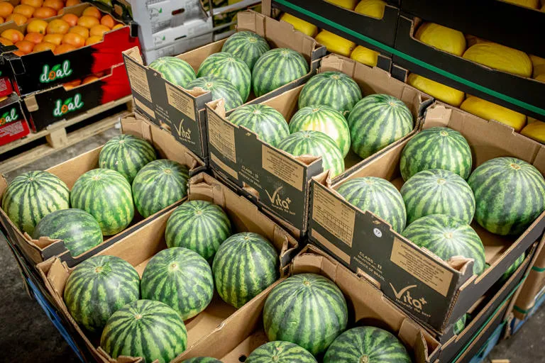 Boxes of melons