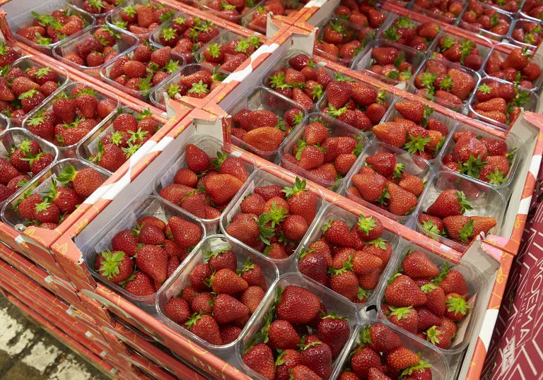 Pallets full of punnets filled with strawberries
