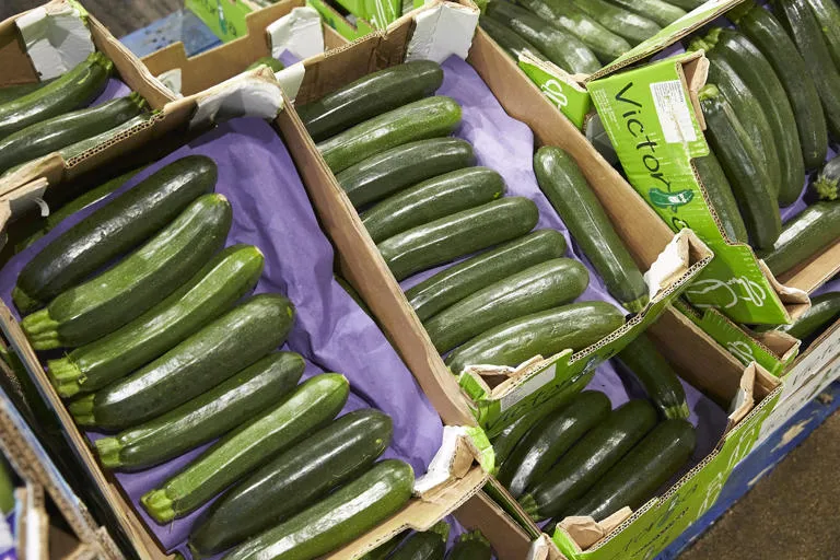 Trays of courgettes