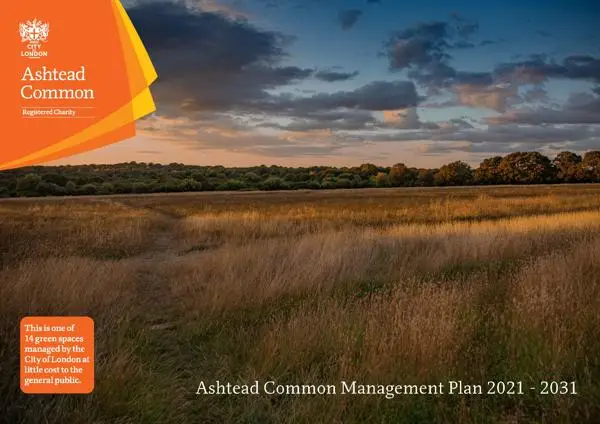 Cover photo for the Ashtead Common Management Plan document