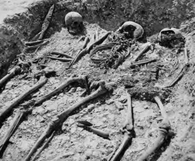 Skeletons seen from one of the excavations of the burial mounds in 1947 