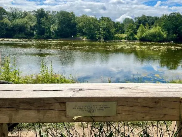 A memorial bench in Epping Forest