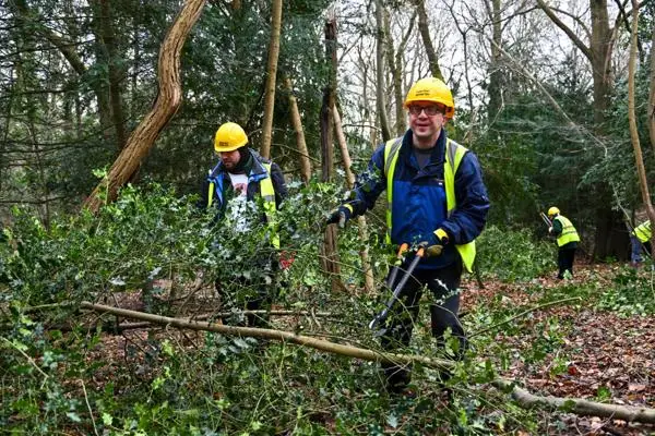 Two men chopping trees in Epping Forest 