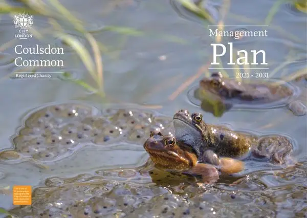 Cover image for the Coulsdon Common management plan showing a pair of frogs in a pond surrounded by frog spawn