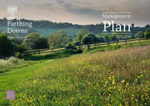 Cover image for the Farthing Downs management plan showing a summer meadow with a wooden fence and woodland behind