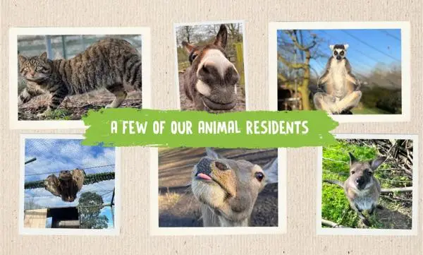 ghpz-animal-residents