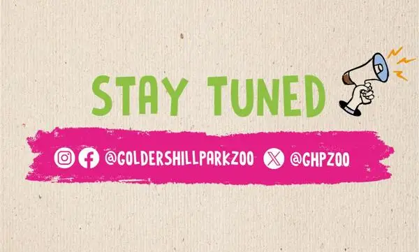 stay-tuned-ghpz