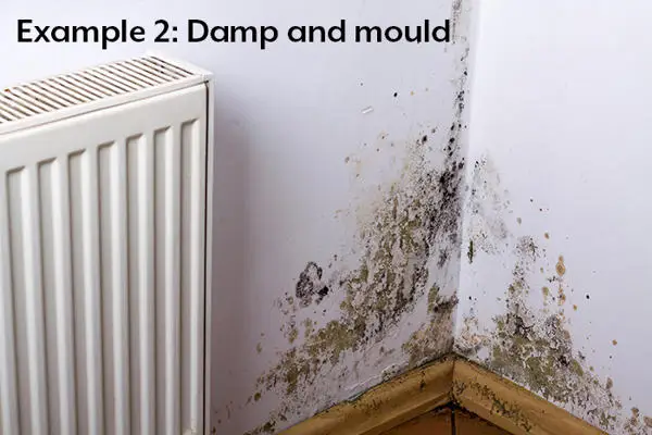 damp and mould in the corner of a room