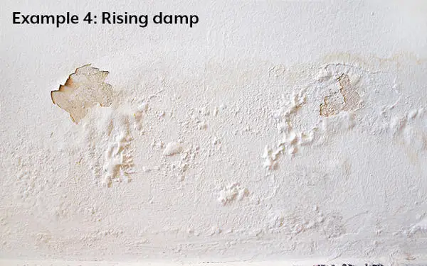 rising damp causing paint to flake off of wall