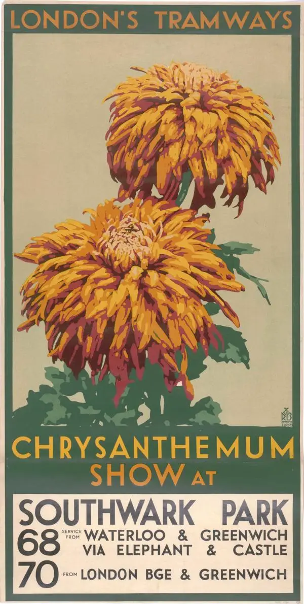 LCC Tramways poster advertising the Chrysanthemum show at Southwark Park, and trams which would take you there. 1930.