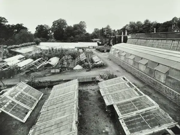 View of greenhouses in Warnham Court School garden, 1954