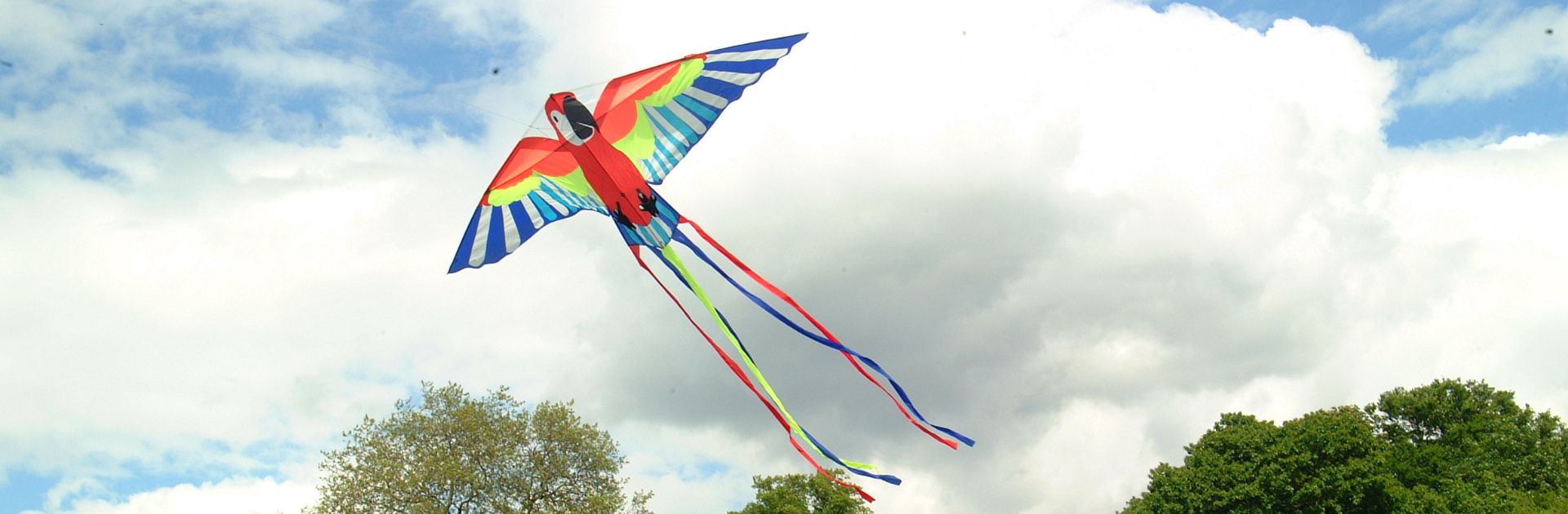 Hampstead Heath Kite Display