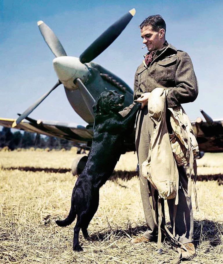 A colourised photo of a pilot and dog